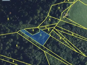 Prodej lesa, Jedlí, 1198 m2