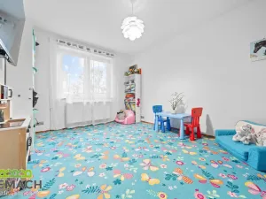 Prodej rodinného domu, Ostrožská Nová Ves, V uličce, 244 m2