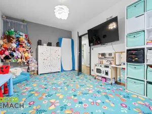 Prodej rodinného domu, Ostrožská Nová Ves, V uličce, 244 m2