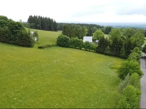 Dražba louky, Říčky v Orlických horách, 1426 m2