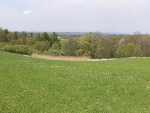 Dražba louky, Chotěbuz, 6967 m2