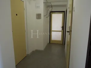 Pronájem bytu 2+1, Praha - Vršovice, Na louži, 55 m2