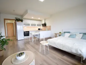 Pronájem bytu 1+kk, Olomouc - Povel, Slavonínská, 41 m2