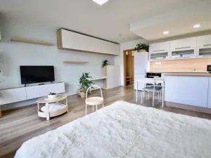 Pronájem bytu 1+kk, Olomouc - Povel, Slavonínská, 41 m2
