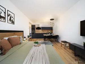 Prodej bytu 1+kk, Lipno nad Vltavou, 5255 m2