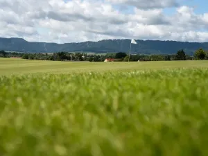 Prodej komerční, Broumov - Velká Ves, Kladská