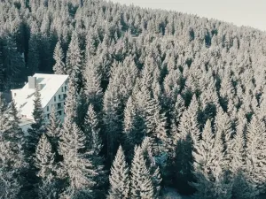 Prodej bytu 1+kk, Loučná pod Klínovcem, 32 m2