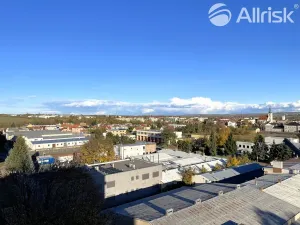 Prodej bytu 2+1, Vyškov, Puškinova, 58 m2