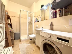 Pronájem bytu 2+1, Olomouc, Michalská, 72 m2