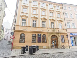 Pronájem bytu 2+1, Olomouc, Michalská, 72 m2