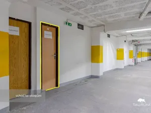 Prodej bytu 4+1, Mladá Boleslav, 17. listopadu, 110 m2