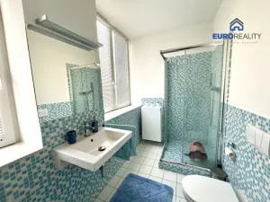 Prodej rodinného domu, Mariánské Lázně, 1. máje, 194 m2