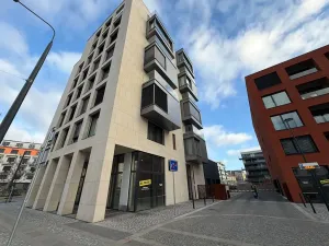 Pronájem bytu 1+kk, Praha - Žižkov, Tetauerova, 33 m2