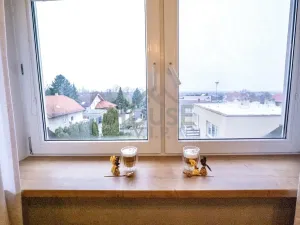 Prodej bytu 2+1, Praha, Výtoňská, 73 m2