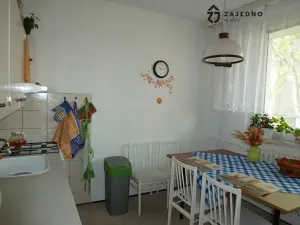 Pronájem bytu 1+1, Brno, Pod nemocnicí, 40 m2