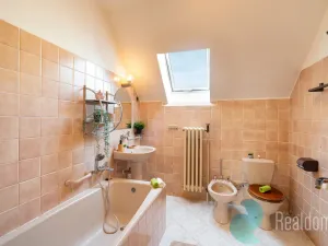 Prodej rodinného domu, Litvínovice, 235 m2