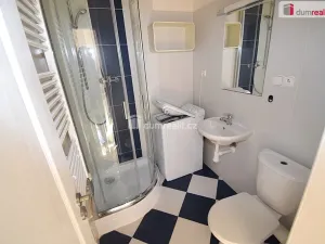 Pronájem bytu 1+kk, Praha - Smíchov, Nad Palatou, 27 m2