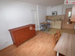 Pronájem bytu 2+kk, Praha - Smíchov, Nad Palatou, 30 m2