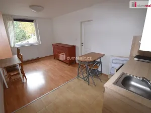 Pronájem bytu 2+kk, Praha - Smíchov, Nad Palatou, 30 m2
