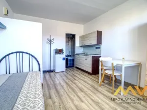 Pronájem bytu 1+kk, Hradec Králové - Nový Hradec Králové, Brožíkova, 22 m2