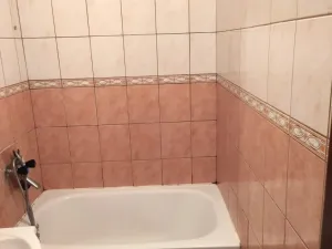 Pronájem bytu 1+1, Ostrava - Výškovice, 39 m2