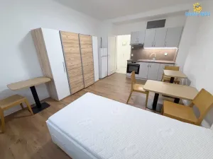 Pronájem bytu 1+kk, Praha - Žižkov, Baranova, 24 m2