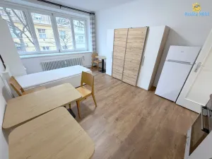 Pronájem bytu 1+kk, Praha - Žižkov, Baranova, 24 m2