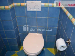 Prodej bytu 1+kk, Praha - Vysočany, Kolbenova, 27 m2