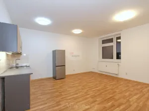 Pronájem bytu 1+kk, Praha - Kamýk, Mariánská, 31 m2