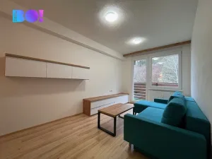 Pronájem bytu 2+1, Všemina, 42 m2