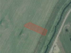 Prodej pole, Přísnotice, 5101 m2