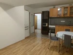 Prodej bytu 2+kk, Odolena Voda, V Malém háji, 42 m2