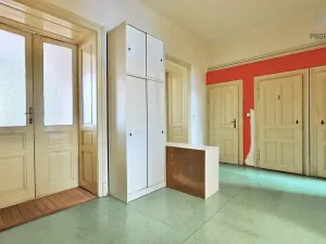 Prodej bytu 3+1, Brno, bratří Čapků, 115 m2