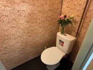 Pronájem bytu 1+1, Frýdek-Místek, Lískovecká, 32 m2