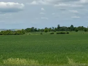 Prodej pole, Brno, 11752 m2