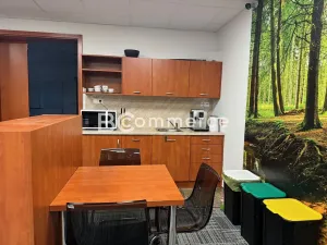 Pronájem obchodního prostoru, Brno, U Leskavy, 92 m2