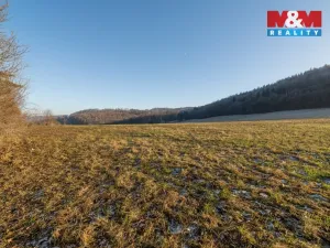 Prodej pozemku pro bydlení, Střílky, 4460 m2