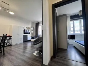 Pronájem bytu 2+1, Praha - Nusle, Doudlebská, 53 m2