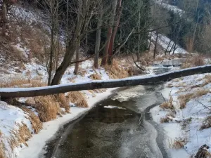 Prodej pozemku, Opatov, 12118 m2