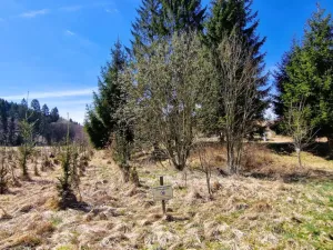 Prodej pozemku, Opatov, 12118 m2