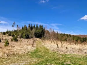 Prodej pozemku, Opatov, 12118 m2