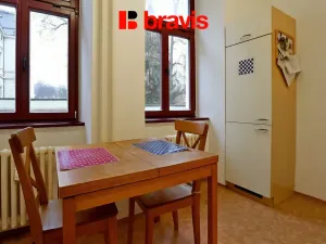 Pronájem bytu 1+1, Brno - Veveří, Antonínská, 53 m2