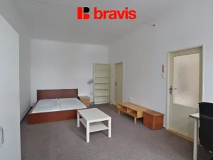 Pronájem bytu 1+1, Brno - Veveří, Antonínská, 53 m2