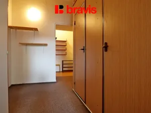 Pronájem bytu 1+1, Brno - Veveří, Antonínská, 53 m2