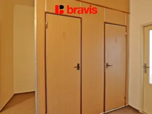 Pronájem bytu 1+1, Brno - Veveří, Antonínská, 53 m2