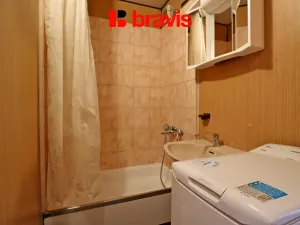 Pronájem bytu 1+1, Brno - Veveří, Antonínská, 53 m2