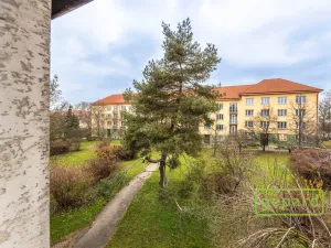 Pronájem kanceláře, Praha, Světická, 188 m2