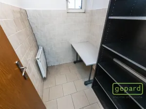 Pronájem kanceláře, Praha, Světická, 188 m2