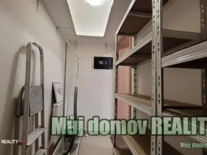 Pronájem bytu 2+kk, Praha - Nové Město, Legerova, 53 m2