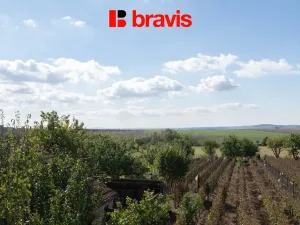 Prodej rodinného domu, Bořetice, 160 m2